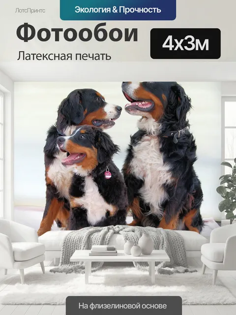 400 × 300 см · Латексная печать