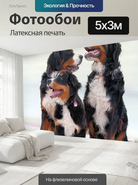 500 × 300 см · Латексная печать