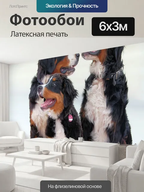 600 × 300 см · Латексная печать