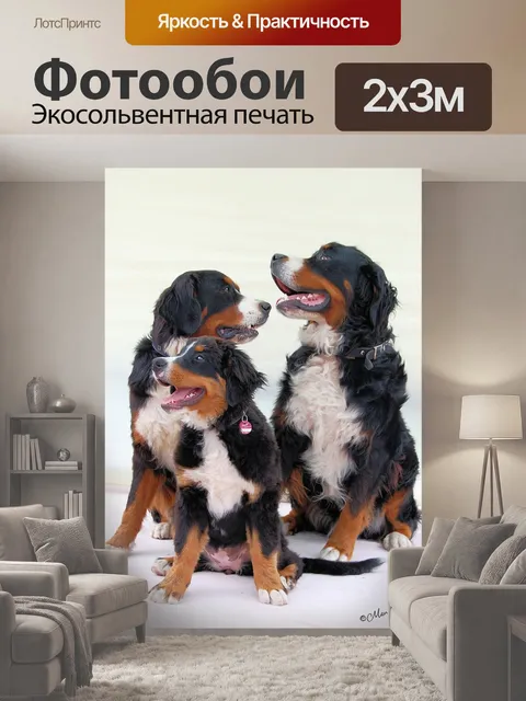 200 × 300 см · Экосольвентная печать