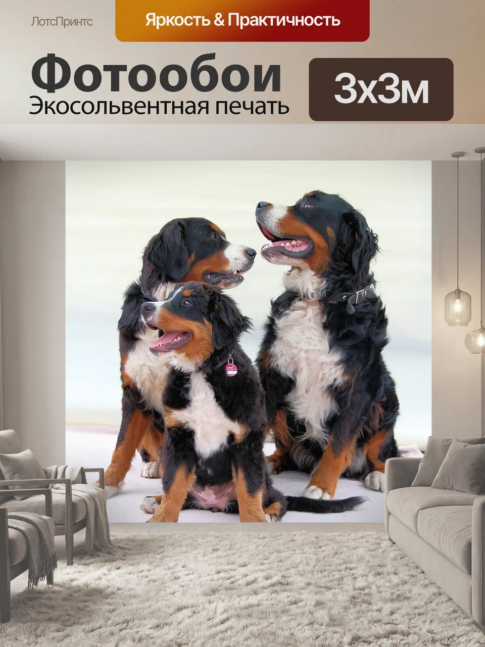 Фотообои Бернский зенненхунд, собака, бернер