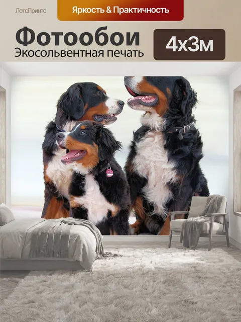 400 × 300 см · Экосольвентная печать