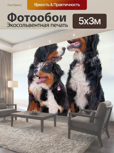 500 × 300 см · Экосольвентная печать