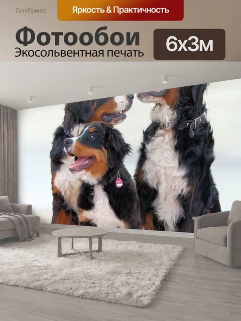 600 × 300 см · Экосольвентная печать