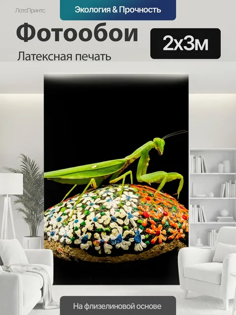 200 × 300 см · Латексная печать