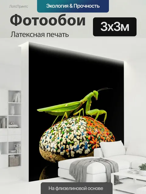 300 × 300 см · Латексная печать