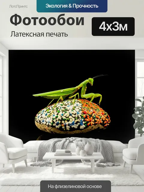 400 × 300 см · Латексная печать