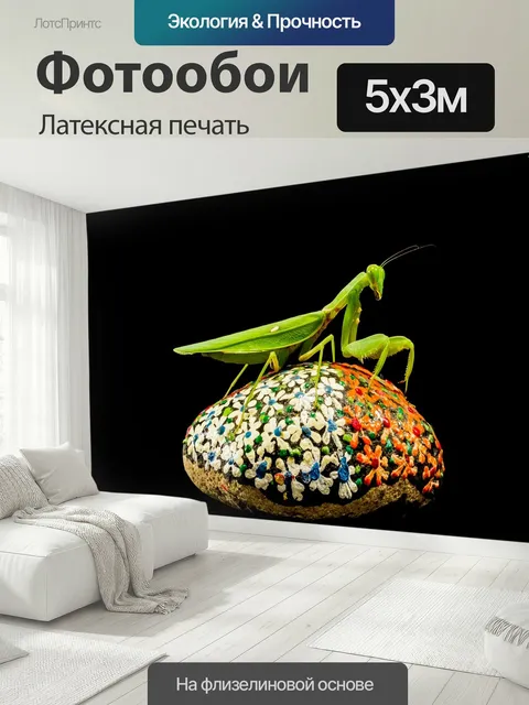 500 × 300 см · Латексная печать