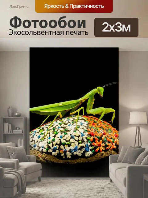 200 × 300 см · Экосольвентная печать