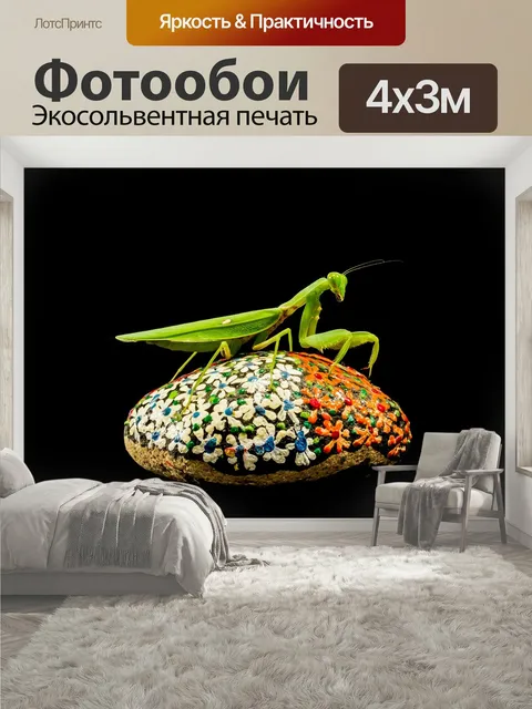400 × 300 см · Экосольвентная печать