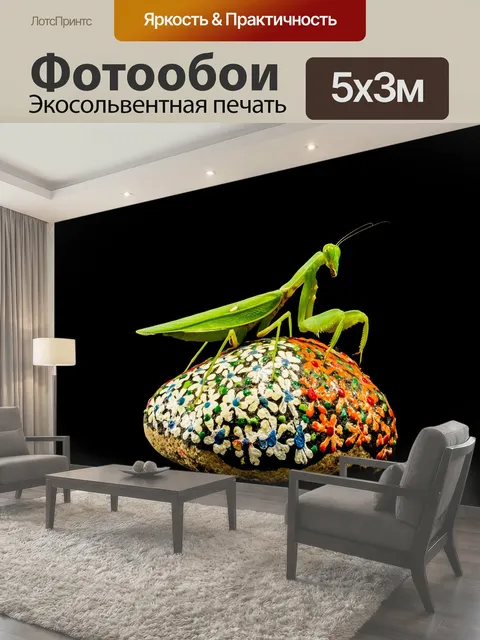 500 × 300 см · Экосольвентная печать
