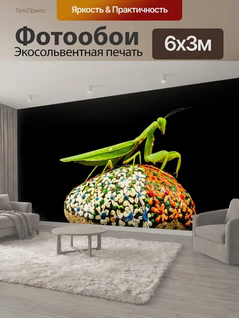 600 × 300 см · Экосольвентная печать