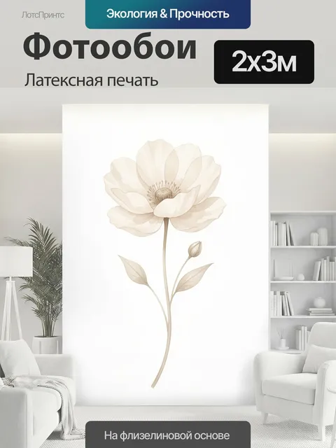200 × 300 см · Латексная печать