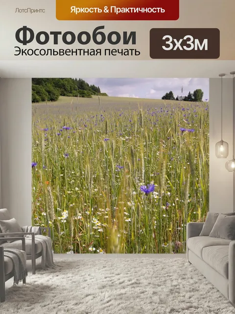 Фотообои Летом, поле, луг
