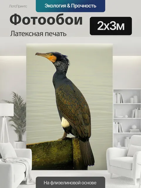 200 × 300 см · Латексная печать