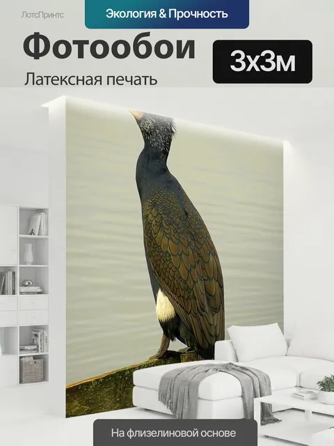 300 × 300 см · Латексная печать