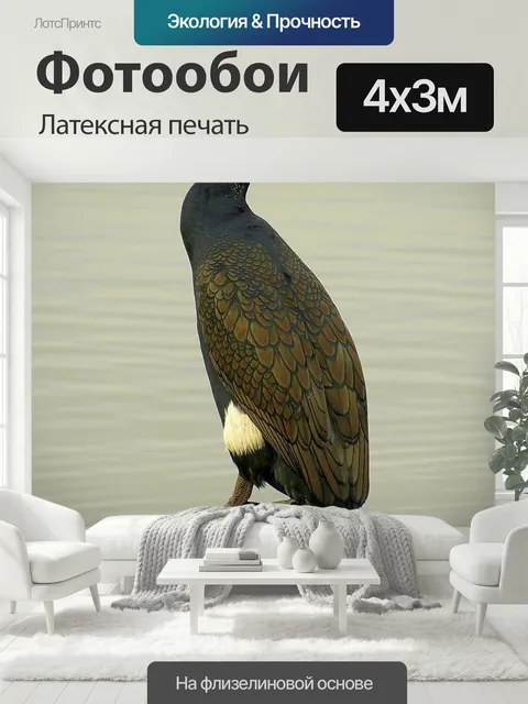 400 × 300 см · Латексная печать