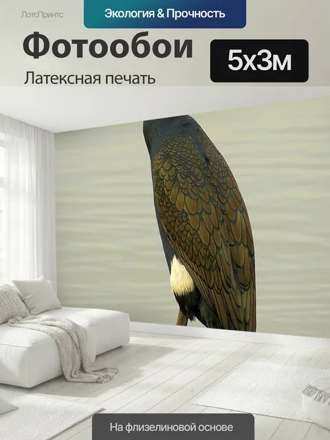 500 × 300 см · Латексная печать