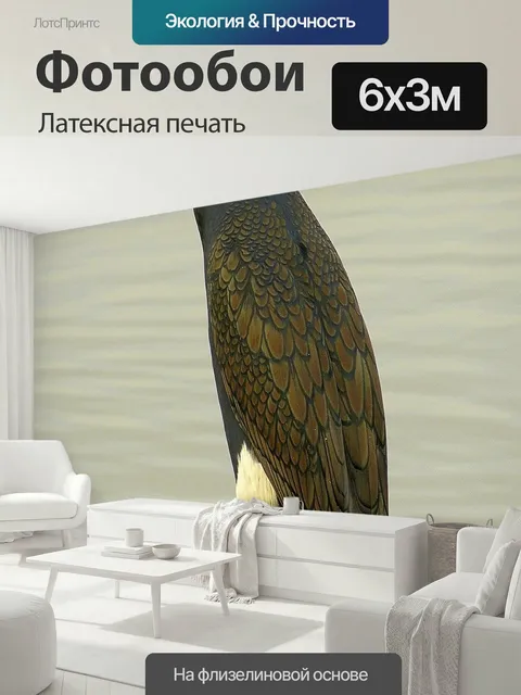 600 × 300 см · Латексная печать