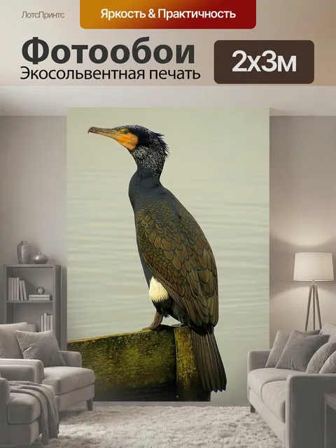 200 × 300 см · Экосольвентная печать