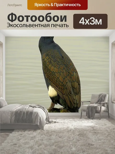400 × 300 см · Экосольвентная печать