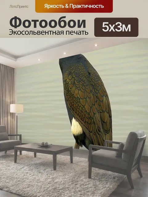 500 × 300 см · Экосольвентная печать