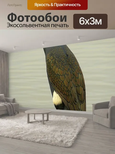 600 × 300 см · Экосольвентная печать