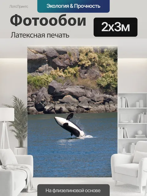 200 × 300 см · Латексная печать