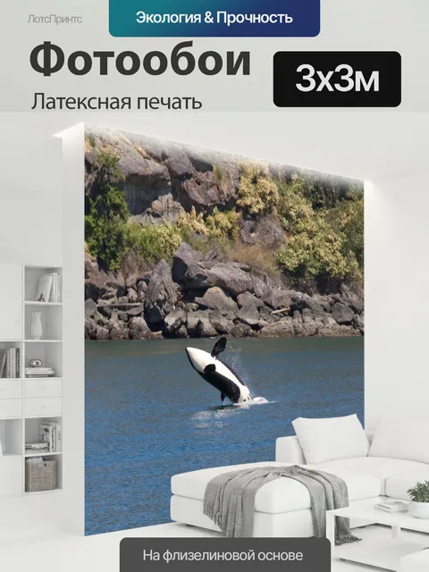 300 × 300 см · Латексная печать