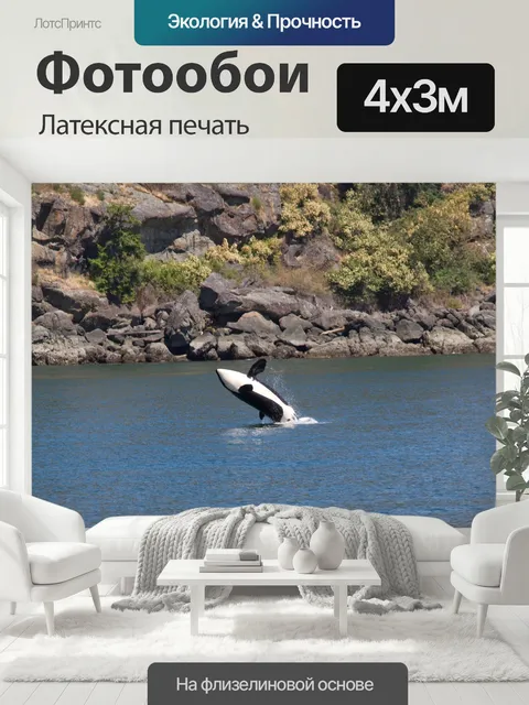 400 × 300 см · Латексная печать