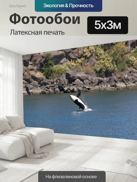 500 × 300 см · Латексная печать