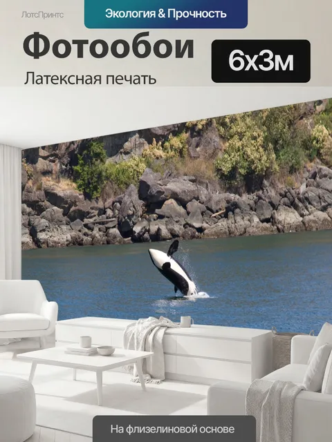 600 × 300 см · Латексная печать