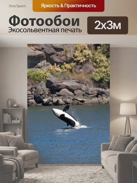 200 × 300 см · Экосольвентная печать