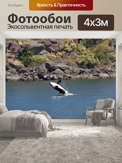 400 × 300 см · Экосольвентная печать