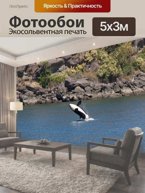 500 × 300 см · Экосольвентная печать