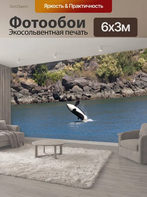 600 × 300 см · Экосольвентная печать