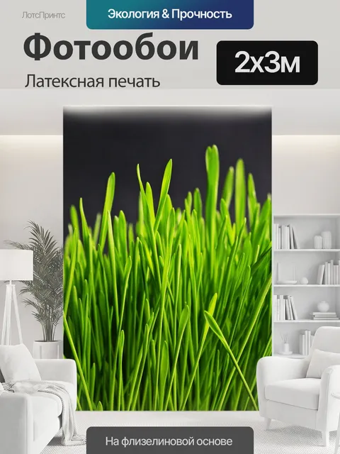 200 × 300 см · Латексная печать