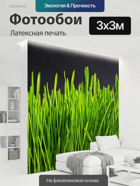 300 × 300 см · Латексная печать