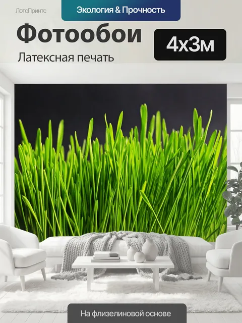 400 × 300 см · Латексная печать