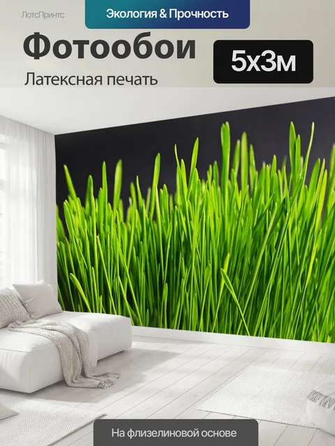 500 × 300 см · Латексная печать