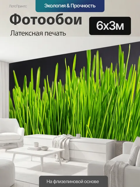 600 × 300 см · Латексная печать