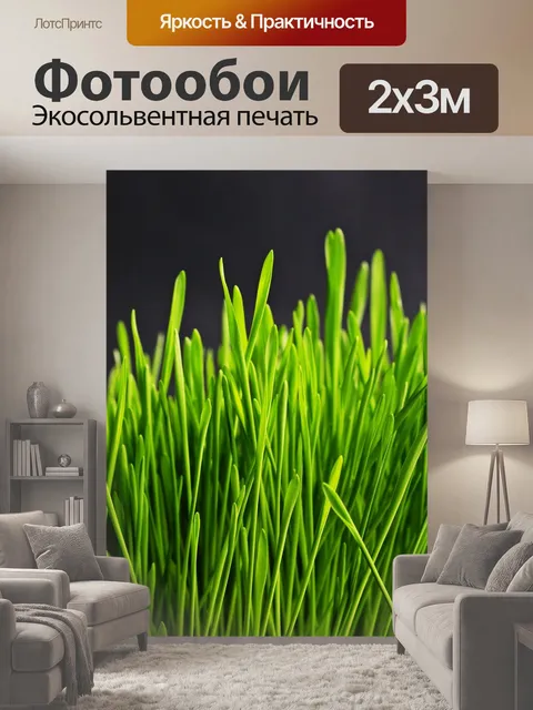 200 × 300 см · Экосольвентная печать