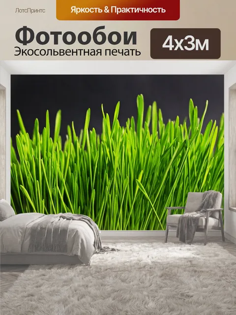 400 × 300 см · Экосольвентная печать