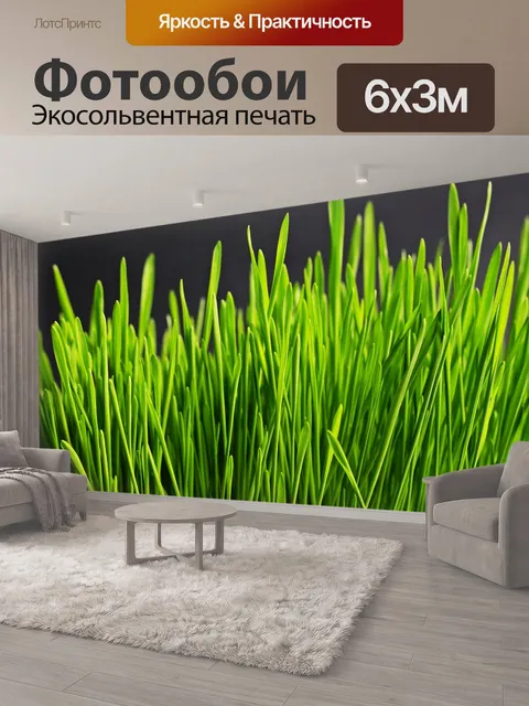 600 × 300 см · Экосольвентная печать