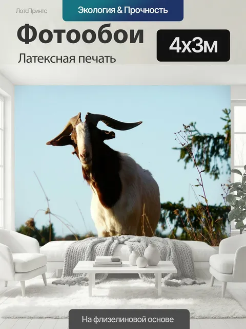 400 × 300 см · Латексная печать
