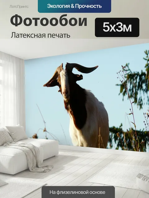 500 × 300 см · Латексная печать