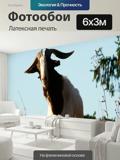 600 × 300 см · Латексная печать