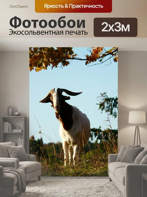 200 × 300 см · Экосольвентная печать