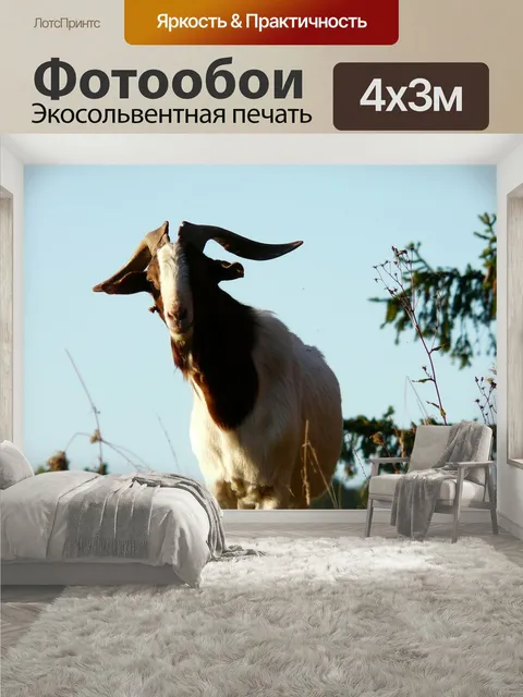 400 × 300 см · Экосольвентная печать