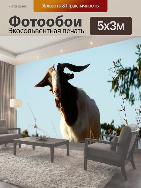 500 × 300 см · Экосольвентная печать